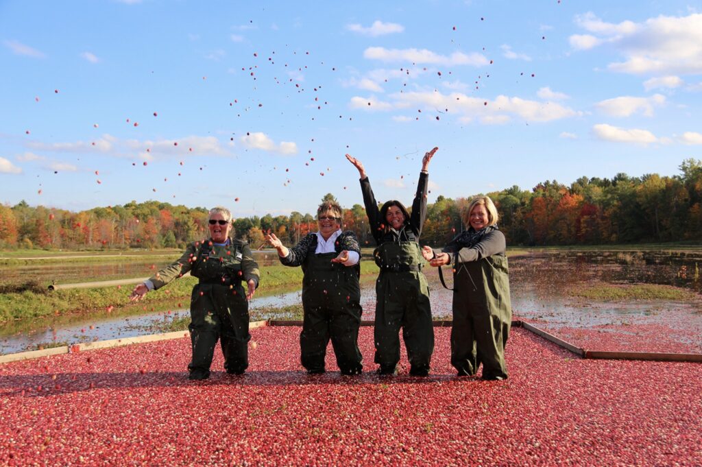 Bala & Cranberries