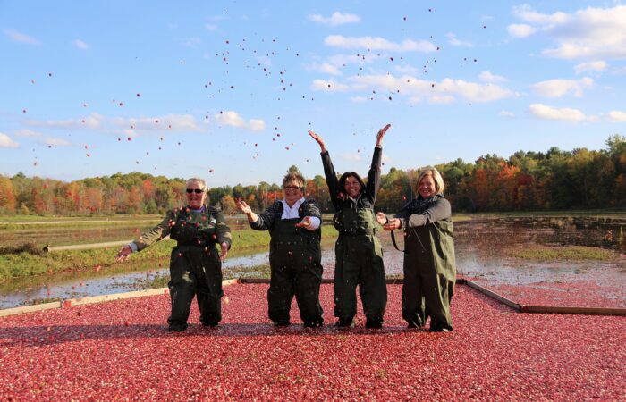 Bala & Cranberries