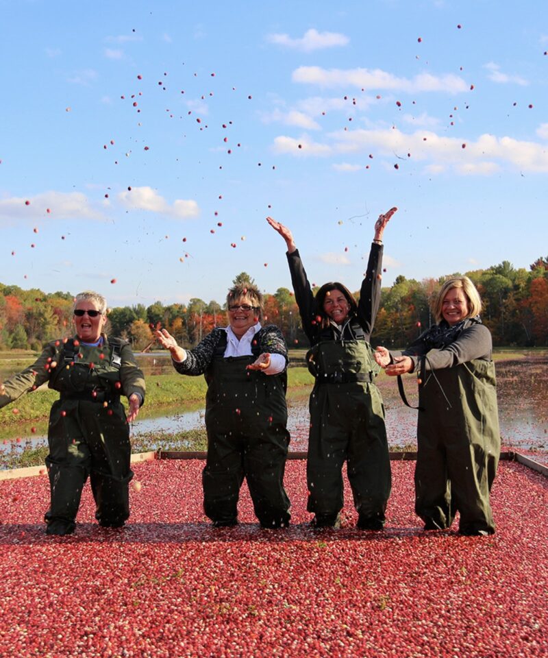 Bala & Cranberries