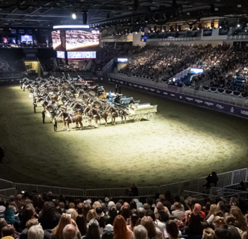 Royal Winter Fair