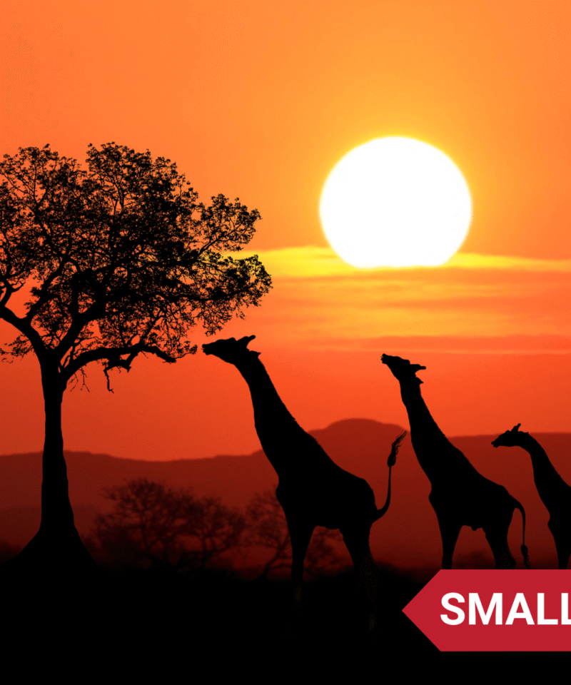 Southern Africa