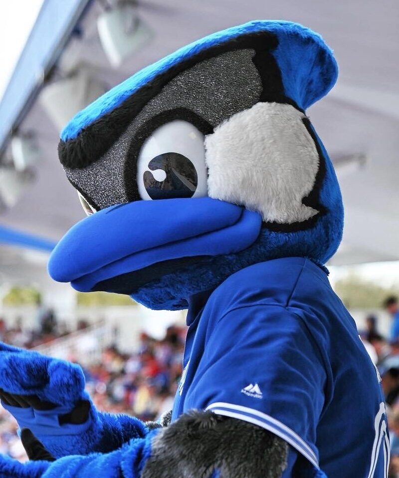 Blue Jays Spring Training