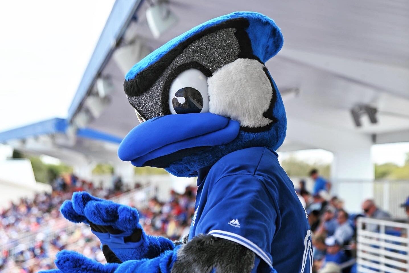 Toronto Blue Jays Florida Spring Training - Cardinal Lakeshore Tours